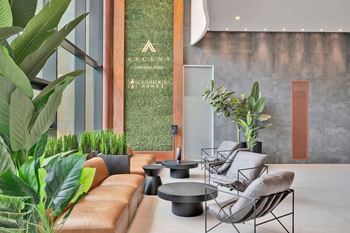 Beautiful dried green wall